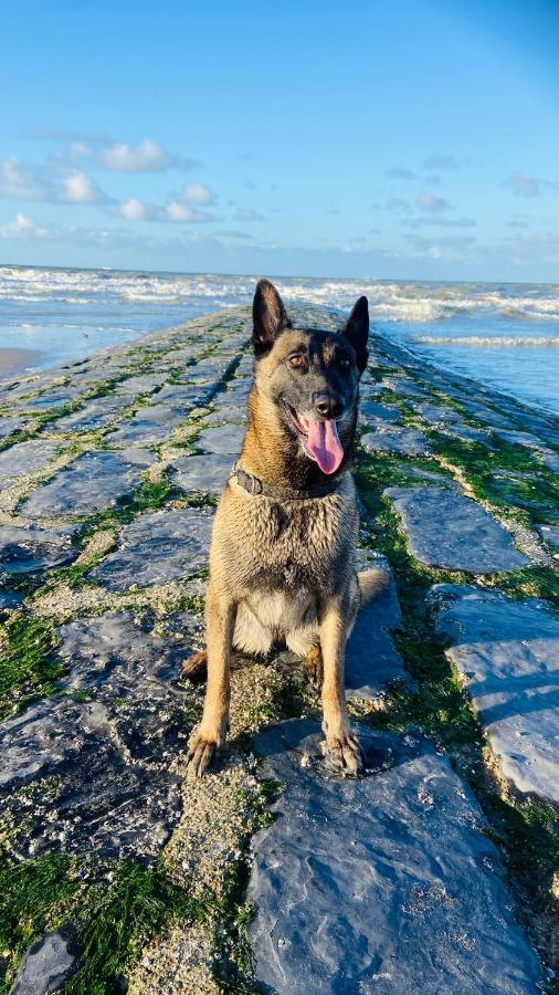 Ruim Zonnig Appartement Op 50M Van Strand Ostenda Esterno foto